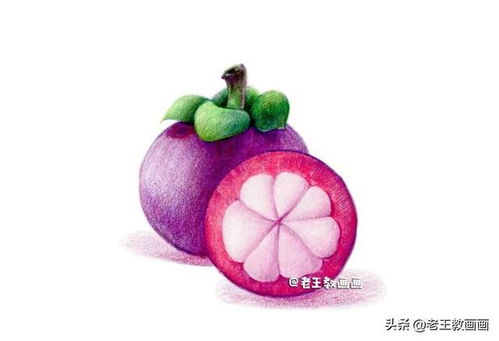 彩鉛入門小教程,教你畫山竹,零基礎(chǔ)也可以學(xué)會(huì)
